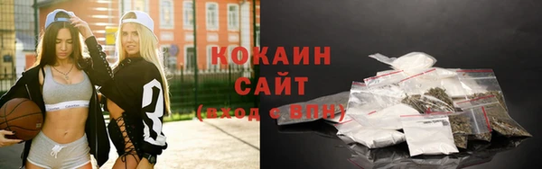 шишки Дмитровск