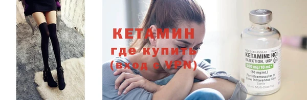 шишки Дмитровск