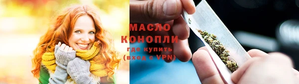 шишки Дмитровск