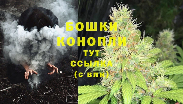 каннабис Дмитров