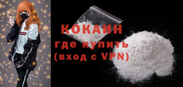 шишки Дмитровск
