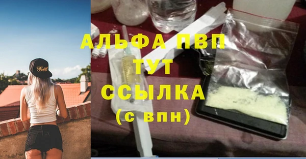 шишки Дмитровск